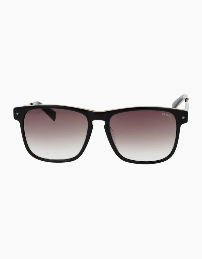 Sting Sunglasses SST384 AAHY 55