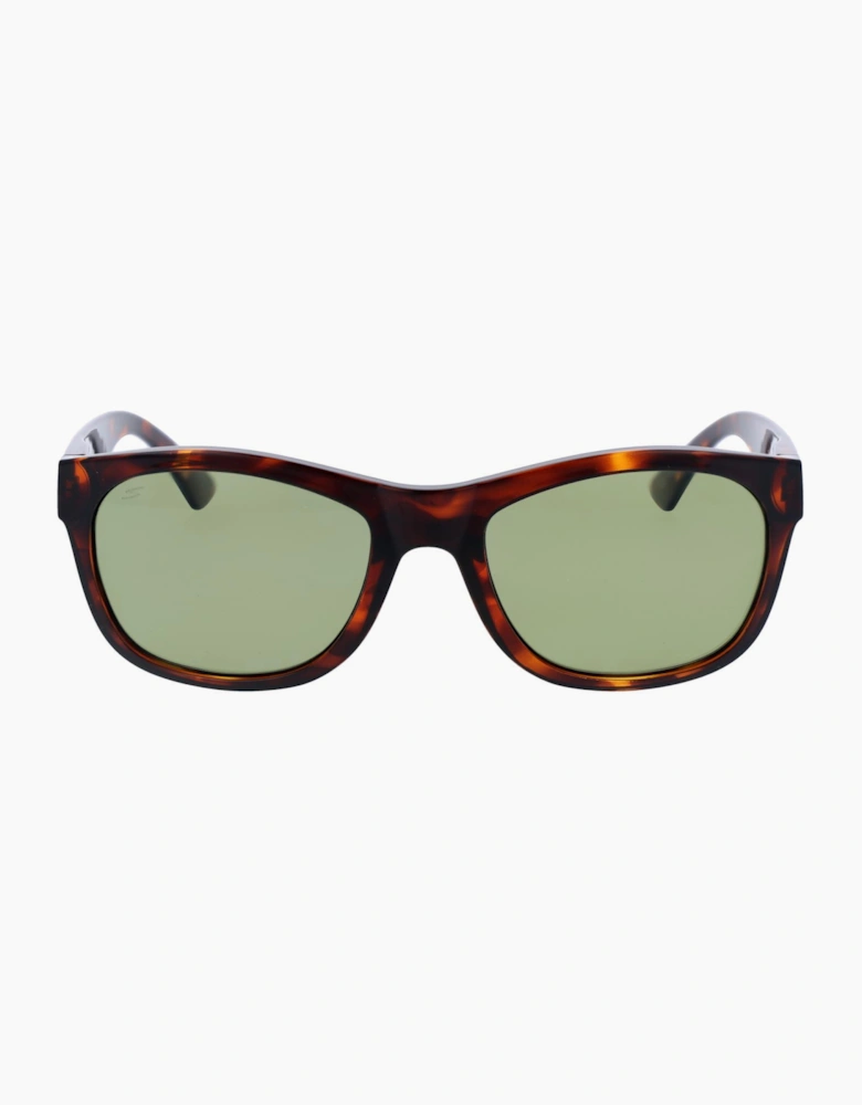 Serengeti Sunglasses SS557001 Chandler