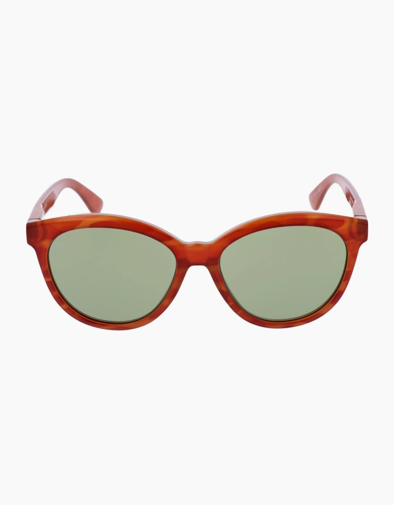 Serengeti Sunglasses SS573006 Endee