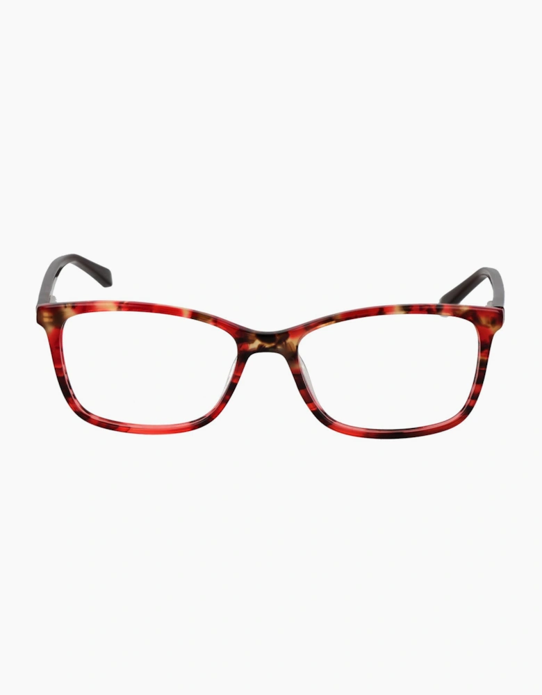 Signature Optical Frame KIS1707 734 52