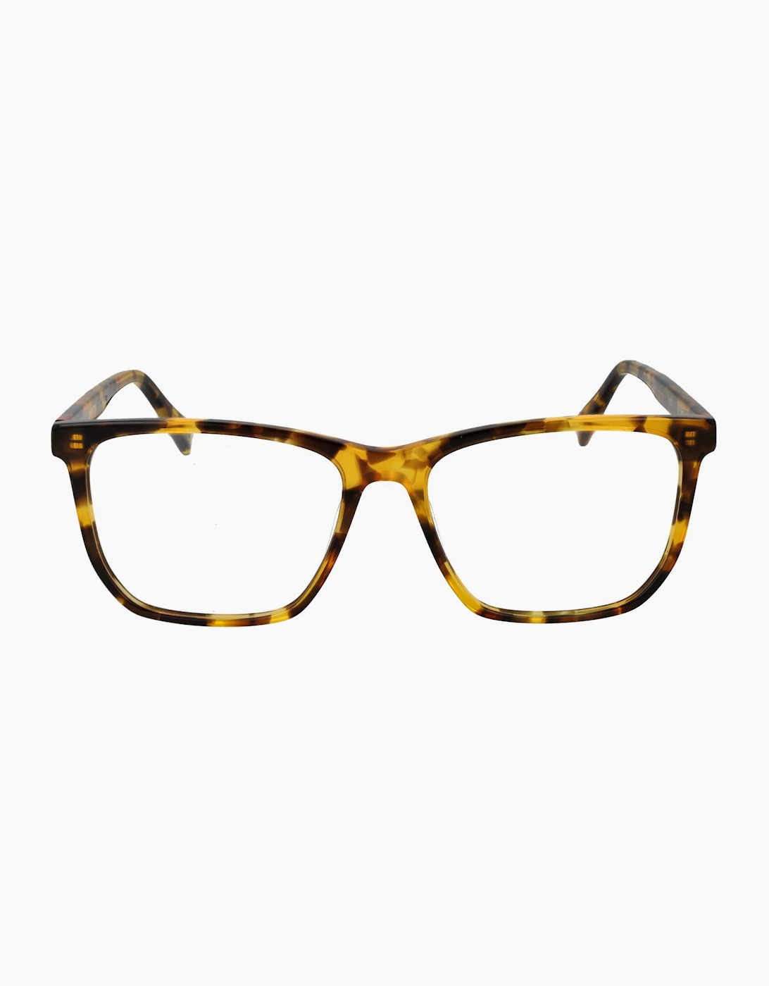 Benetton Optical Frame BEO1115 103 54