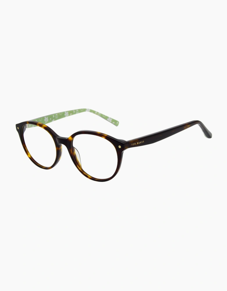 Ted Baker Optical Frame TB9253 101 51