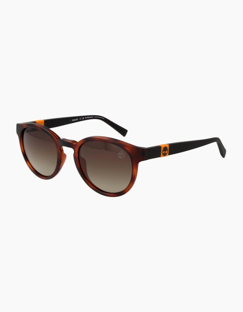 Timberland Sunglasses TB9323 52H 51