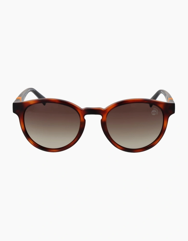 Timberland Sunglasses TB9323 52H 51