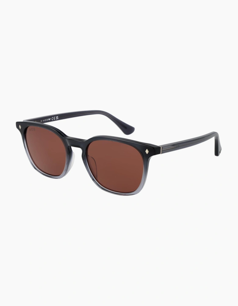 Web Sunglasses WE0364 20S 52