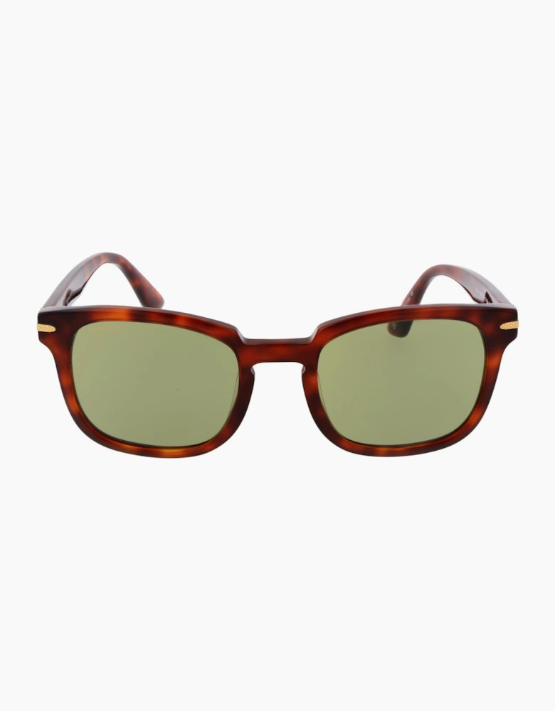 Serengeti Sunglasses SS575006 Ethan