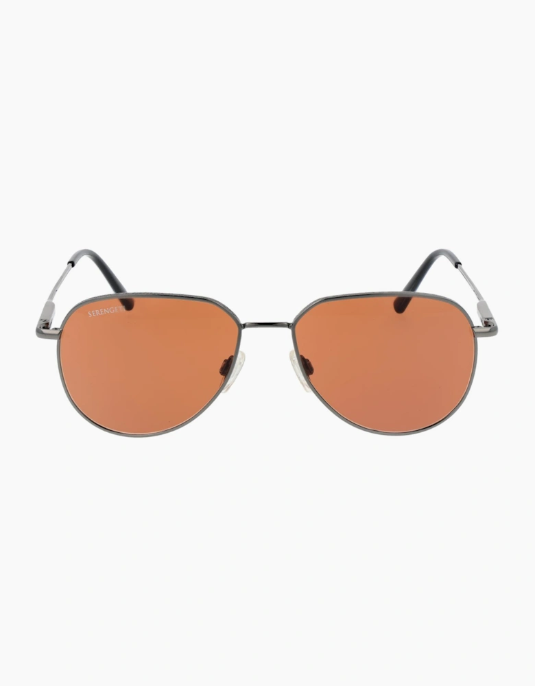 Serengeti Sunglasses SS543006 Haywood