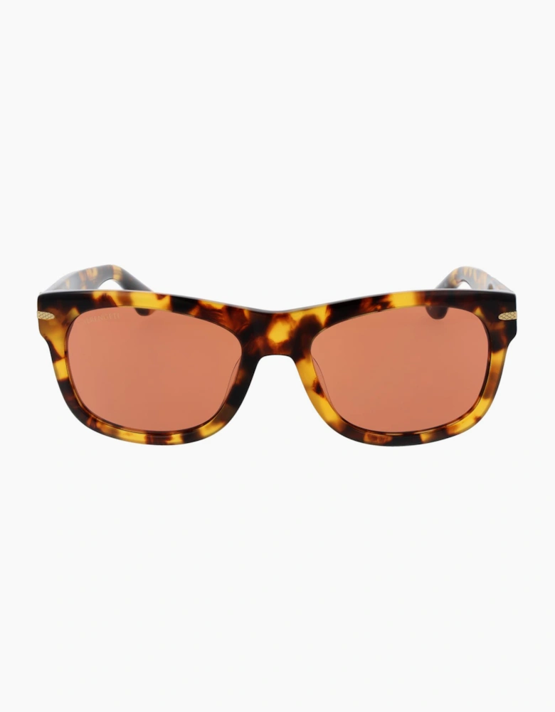 Serengeti Sunglasses SS549006 Foyt