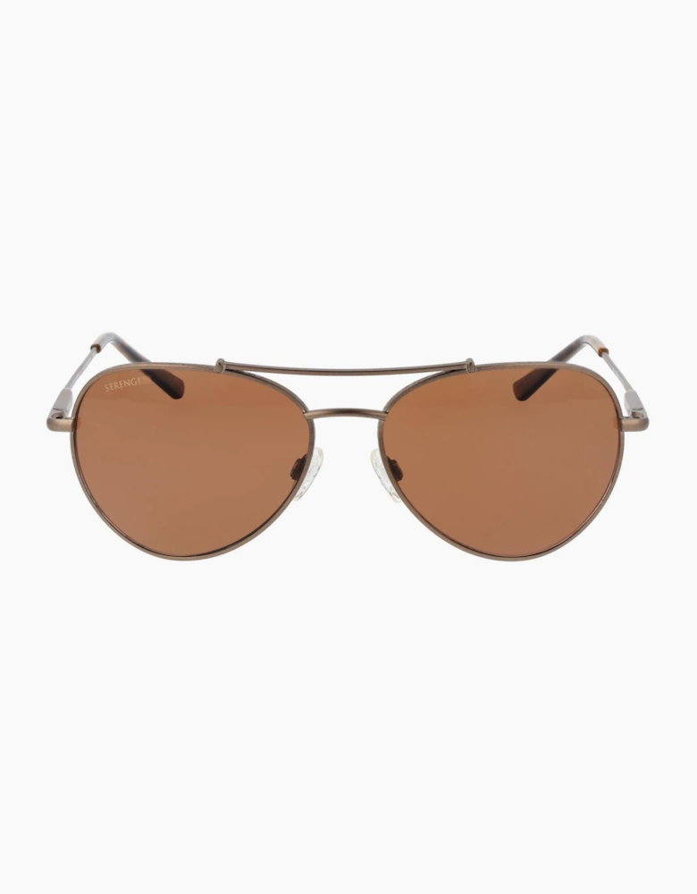 Serengeti Sunglasses SS599004 Pete
