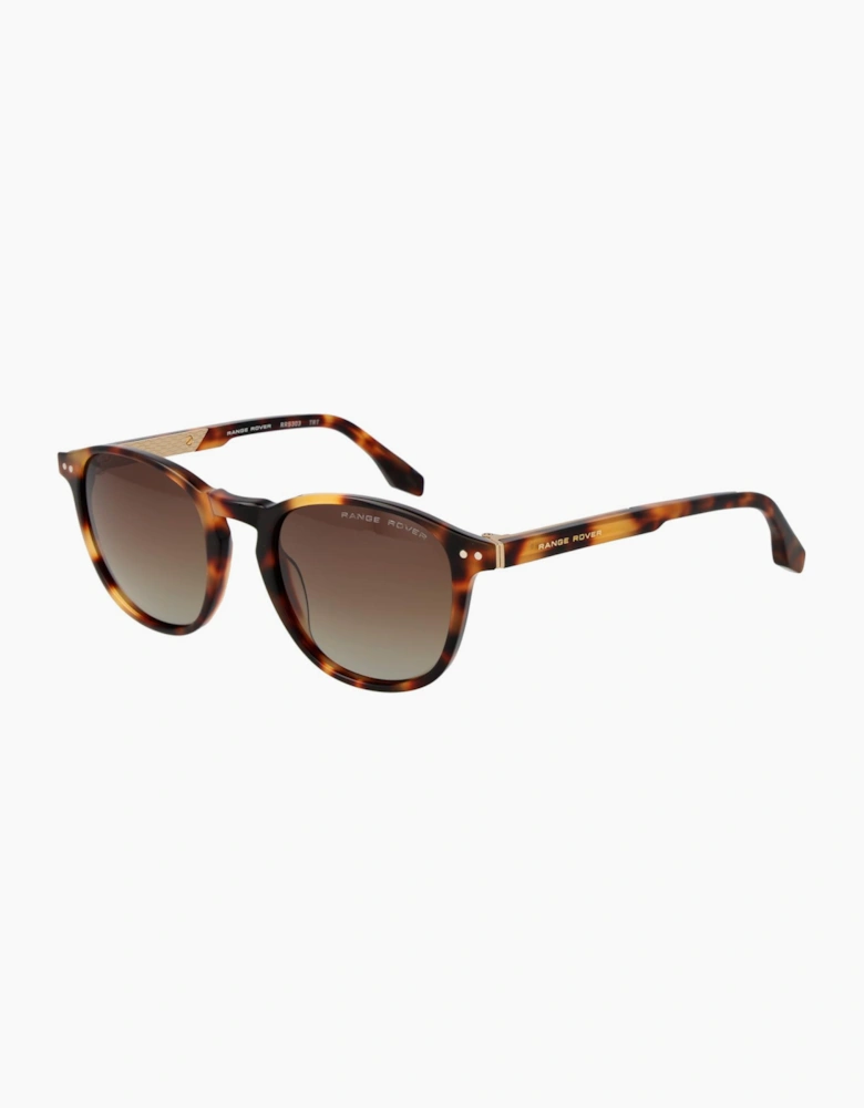 Range Rover Sunglasses RRS303 TRT 51
