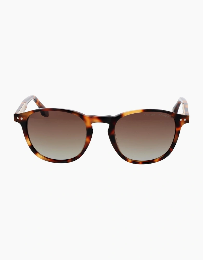 Range Rover Sunglasses RRS303 TRT 51