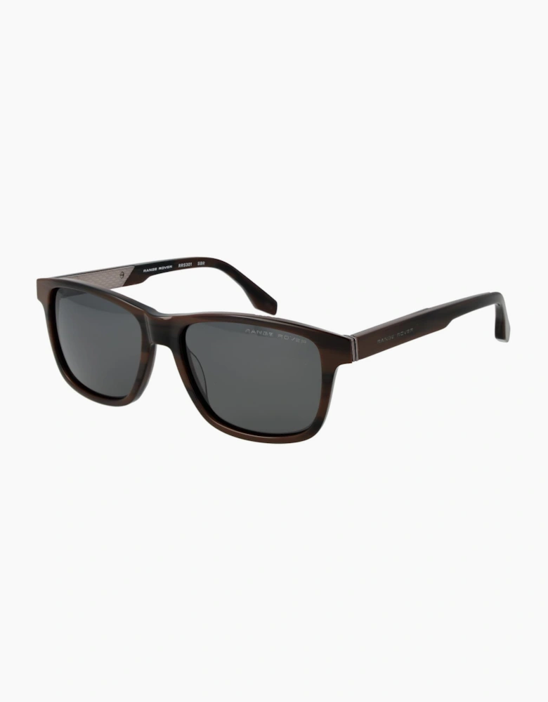 Range Rover Sunglasses RRS301 SBR 56