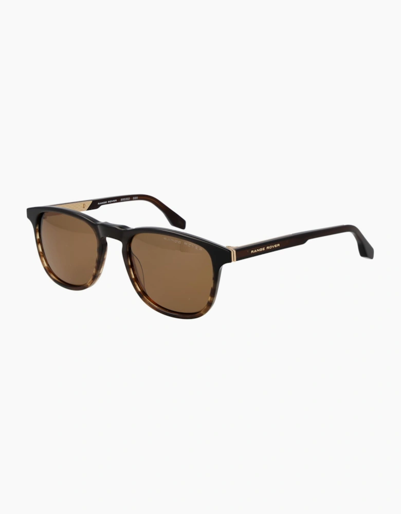 Range Rover Sunglasses RRS302 SBR 54
