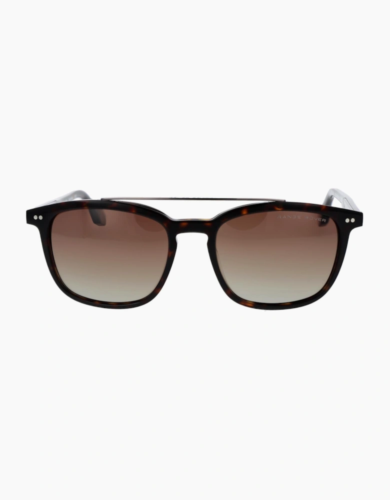 Range Rover Sunglasses RRS300 TRT 55