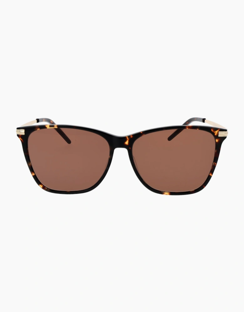 Replay Sunglasses RY232S H06 58