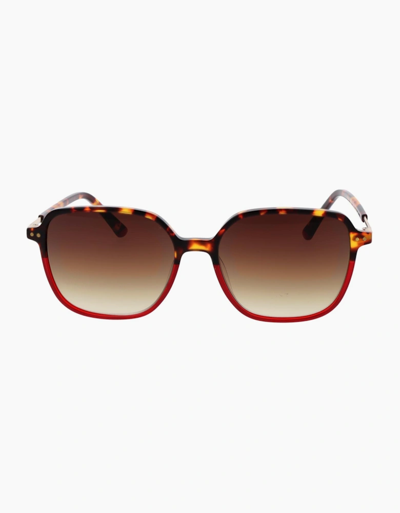 Replay Sunglasses RY468V 03S 55