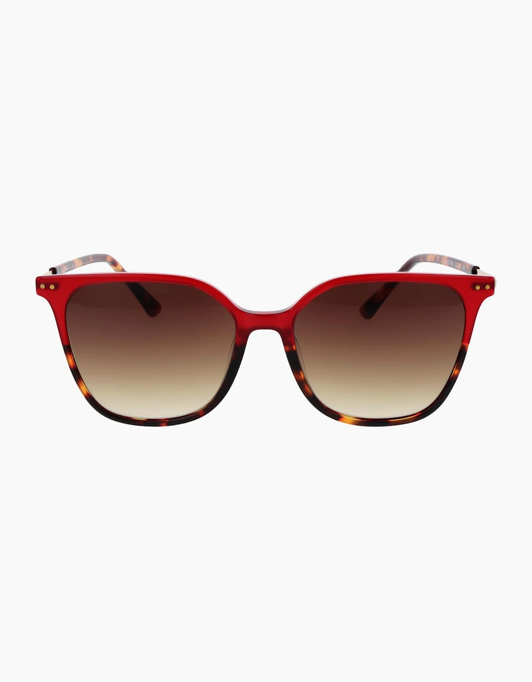 Replay Sunglasses RY473V 03S 53
