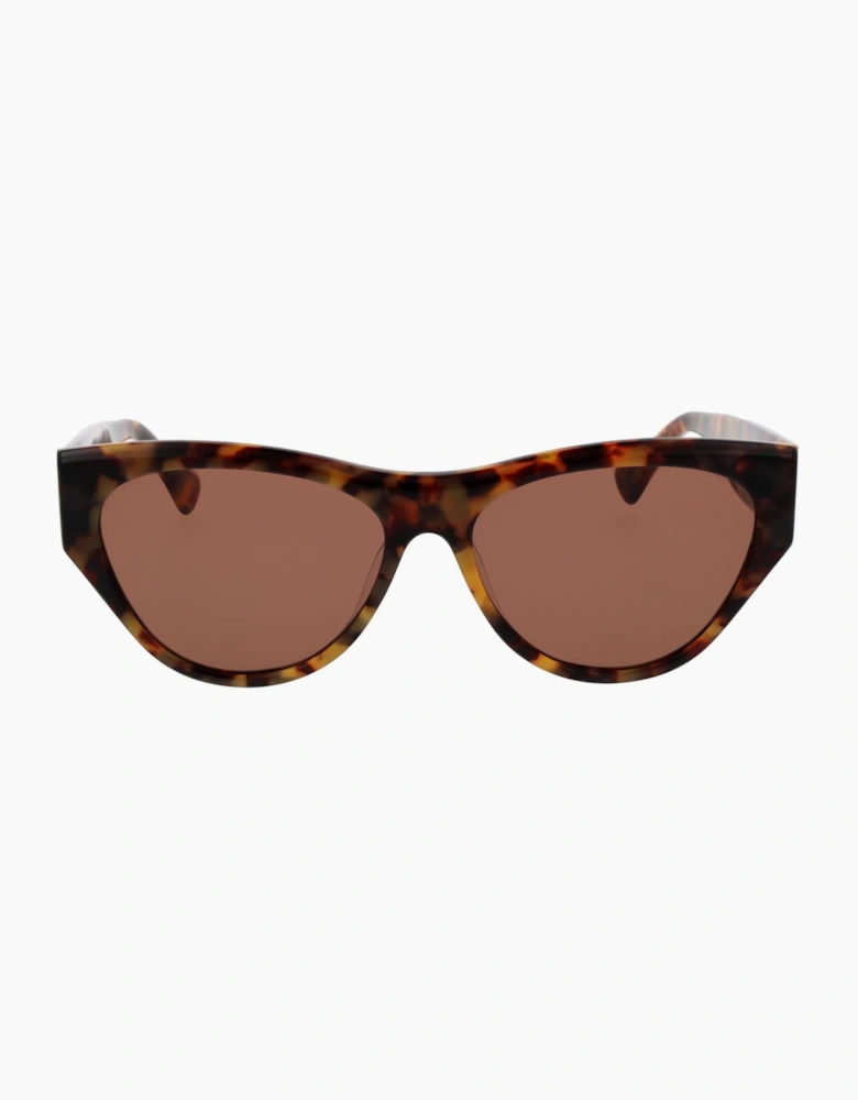 Replay Sunglasses RY665S R02 58
