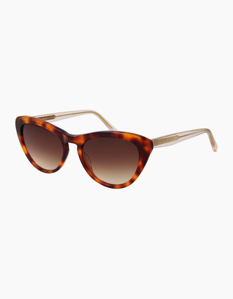 Ted Baker Sunglasses TB1690 100 53
