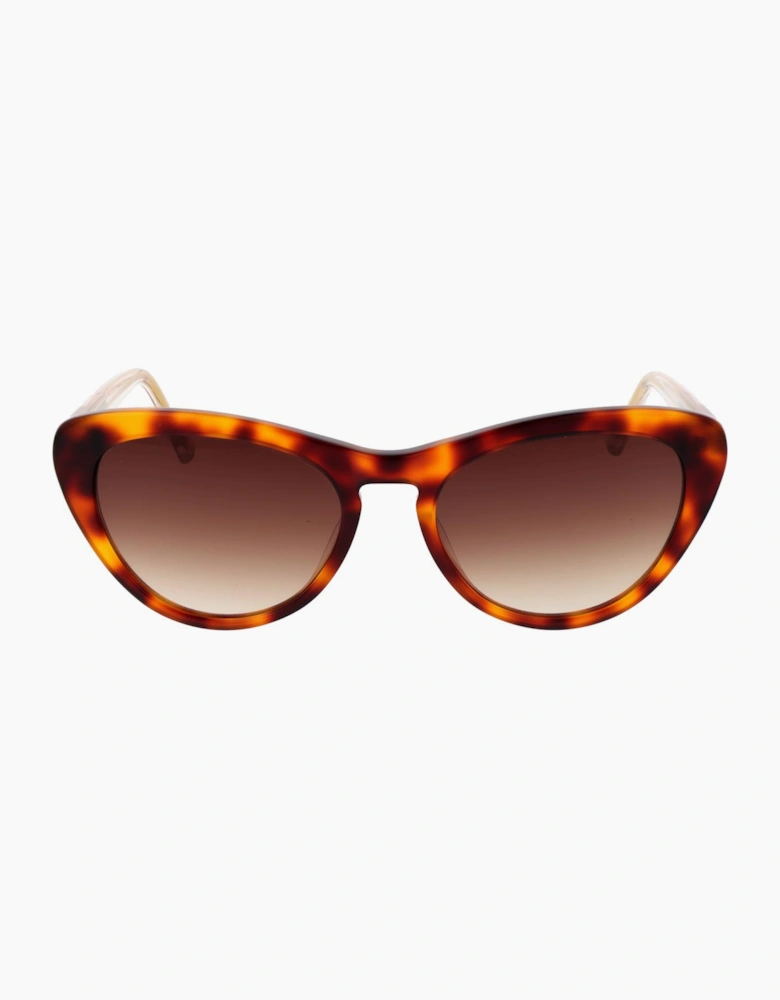 Ted Baker Sunglasses TB1690 100 53