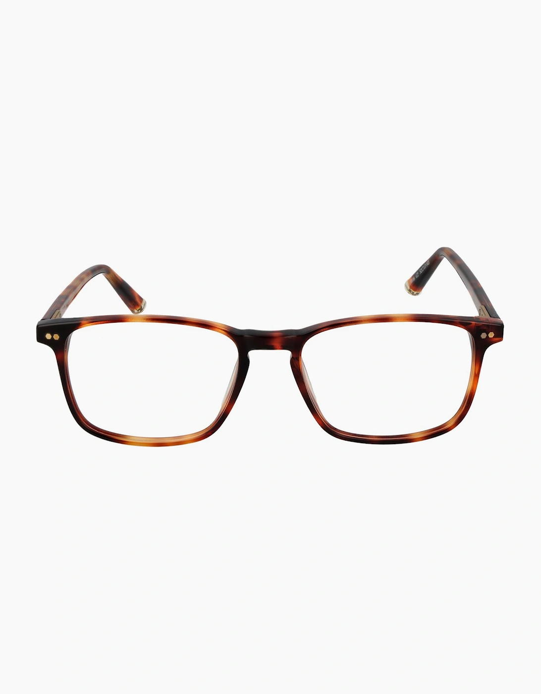 Taylor Morris Optical Frame SW16 C2 52