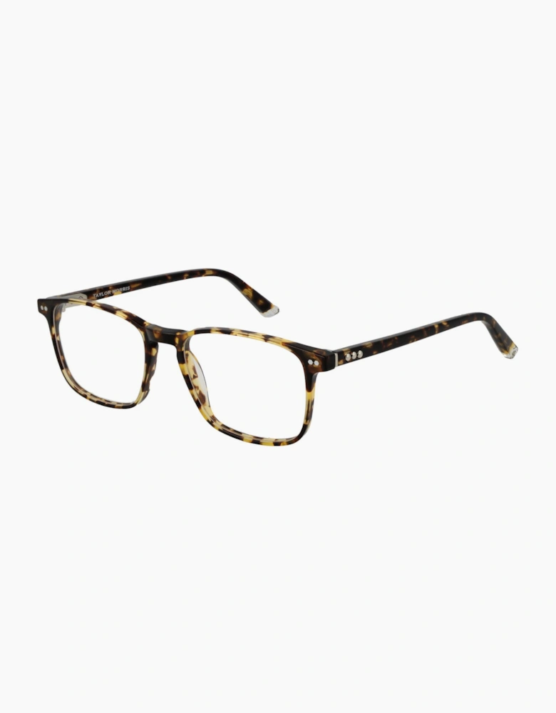 Taylor Morris Optical Frame SW16 C10 52