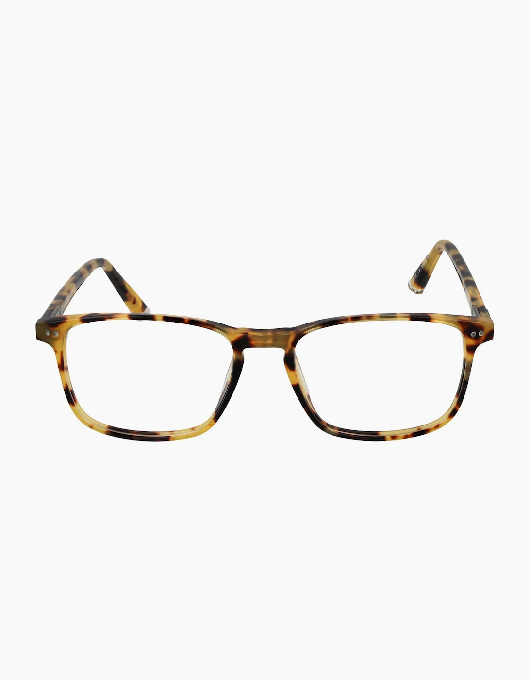 Taylor Morris Optical Frame SW16 C3 52