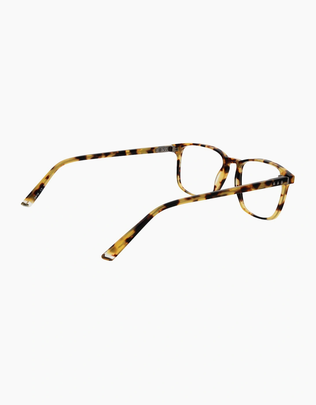 Taylor Morris Optical Frame SW16 C3 52