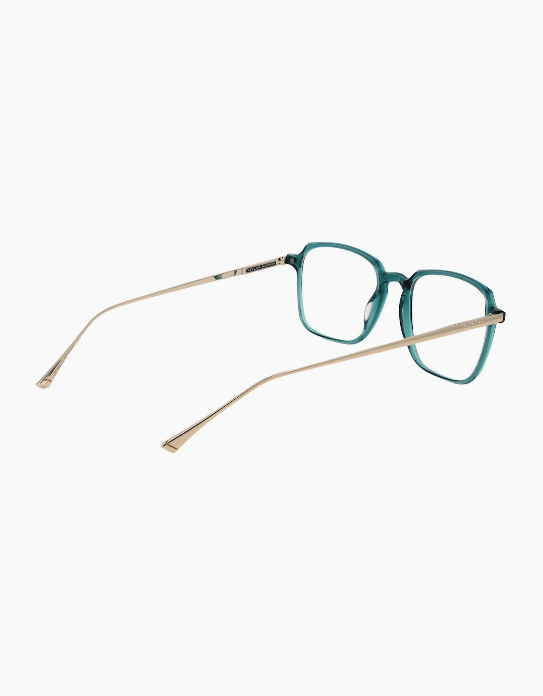 Taylor Morris Optical Frame SW3 C6 52
