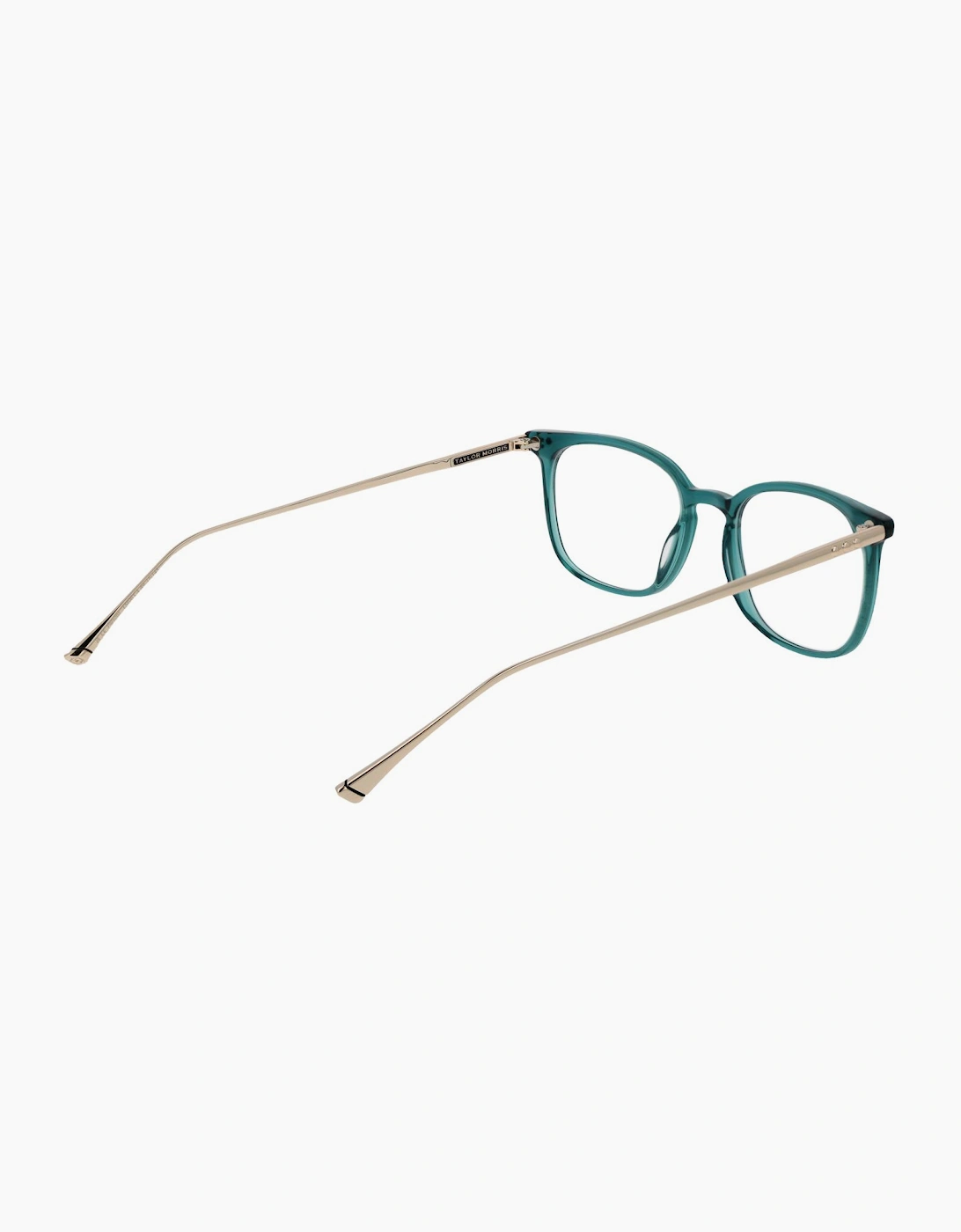 Taylor Morris Optical Frame TM06 C4 49