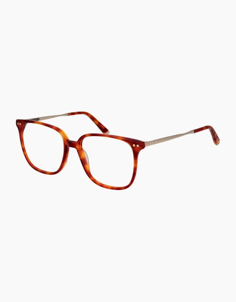Taylor Morris Optical Frame TM08 C2 53