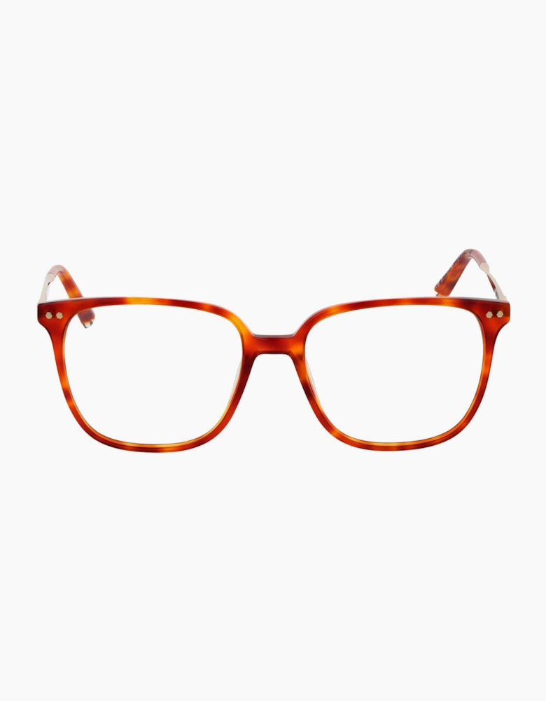 Taylor Morris Optical Frame TM08 C2 53