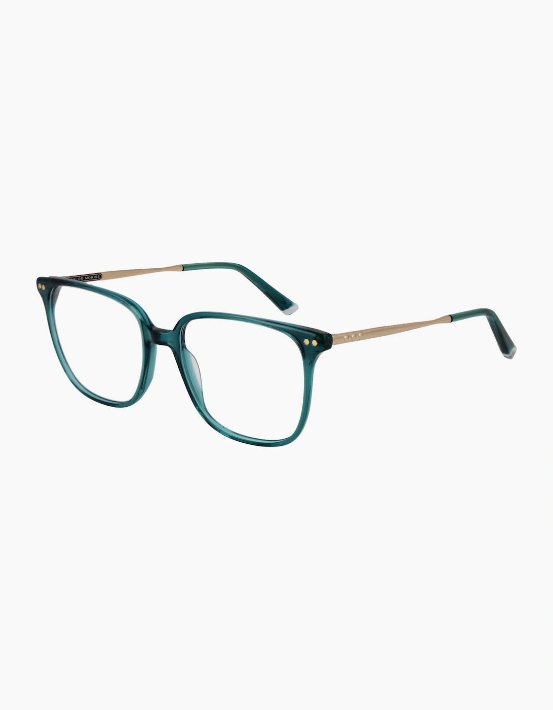 Taylor Morris Optical Frame TM08 C4 53