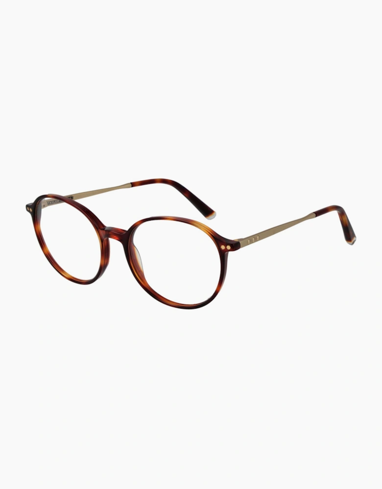 Taylor Morris Optical Frame SW1 C2 51