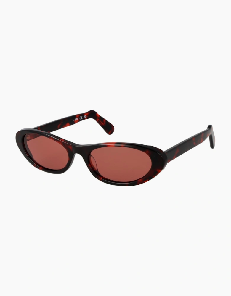 GCDS Sunglasses GD0021 54S 55