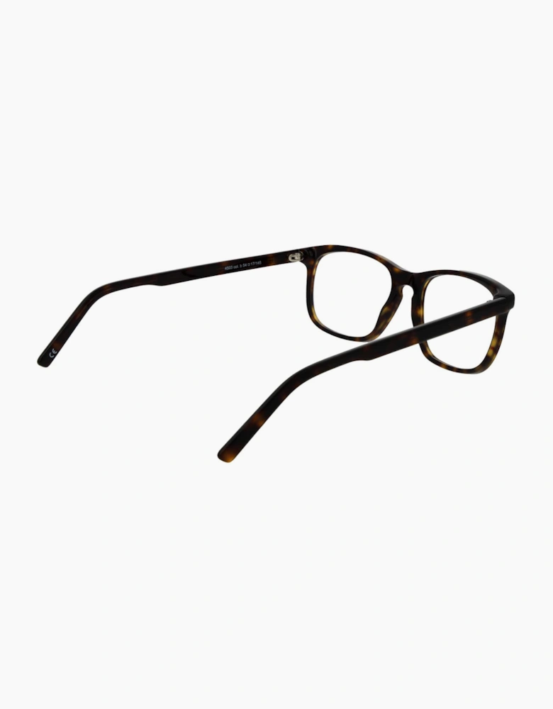 Andy Wolf Optical Frame 4503 B 54