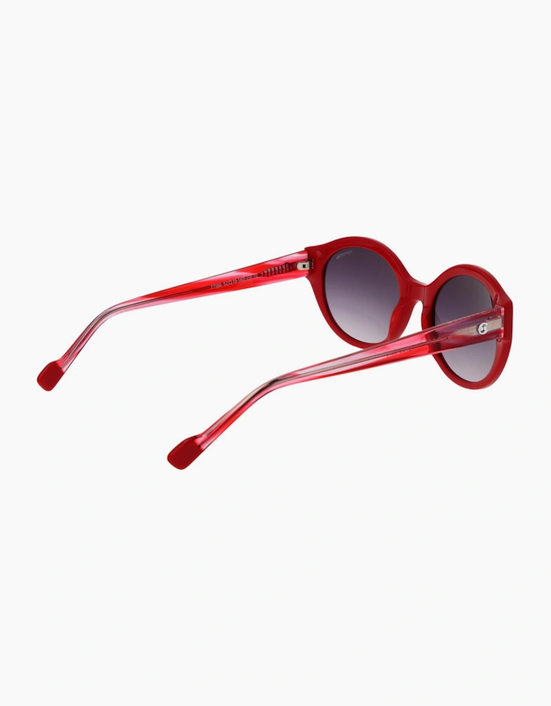 Comma Sunglasses 77186 70 52