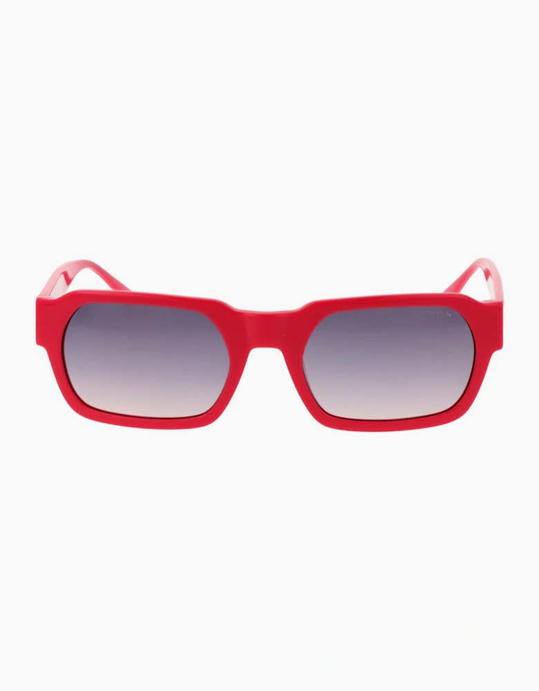 Comma Sunglasses 77209PU 79 53