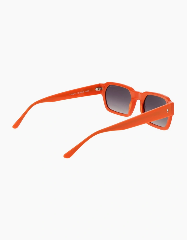 Comma Sunglasses 77209PU 80 53
