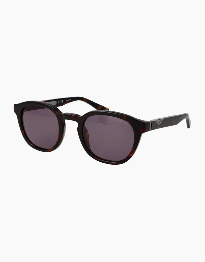 Police Sunglasses SPLL82M 0722 50