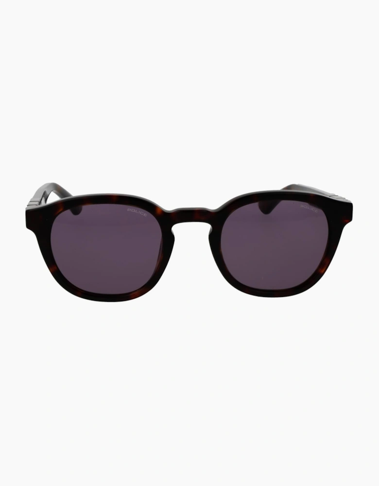 Police Sunglasses SPLL82M 0722 50