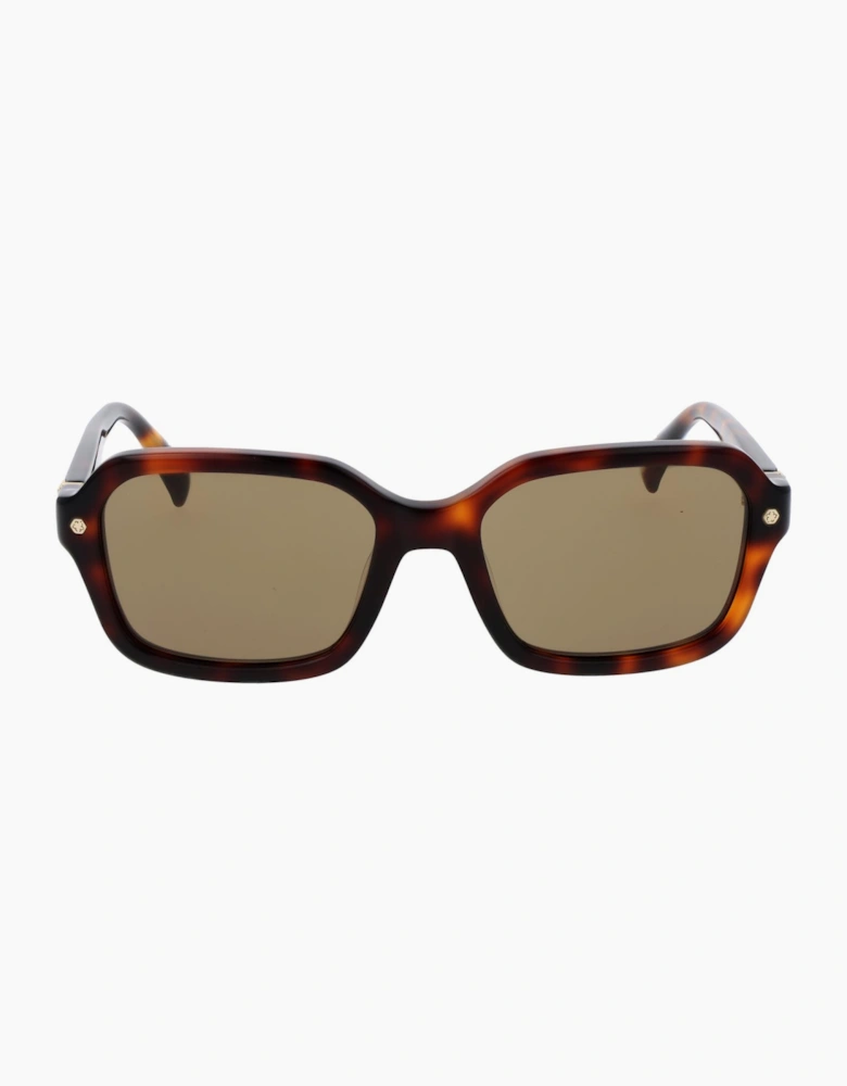 Ted Baker Sunglasses TB1697 101 55
