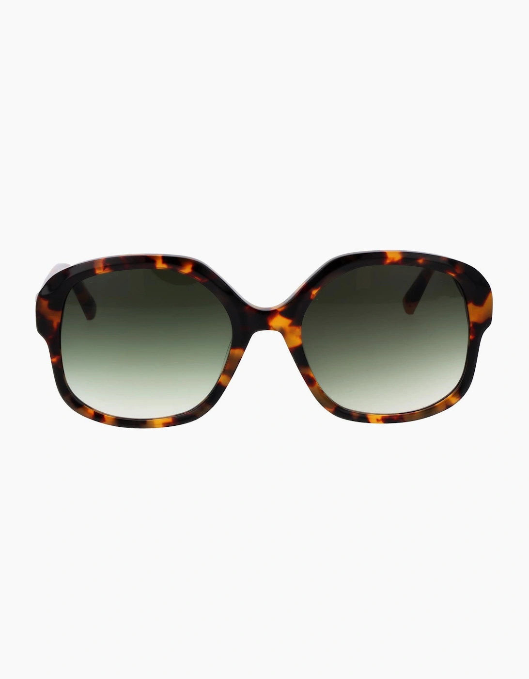 Ted Baker Sunglasses TB1685 267 55