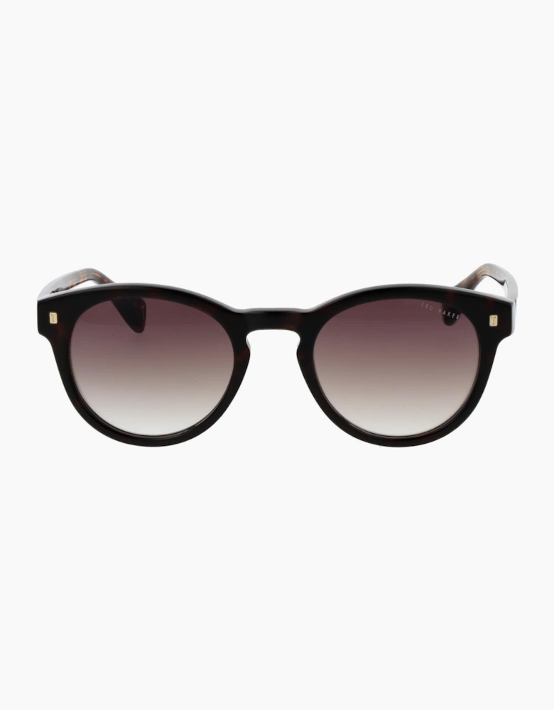 Ted Baker Sunglasses TB1752 119 51