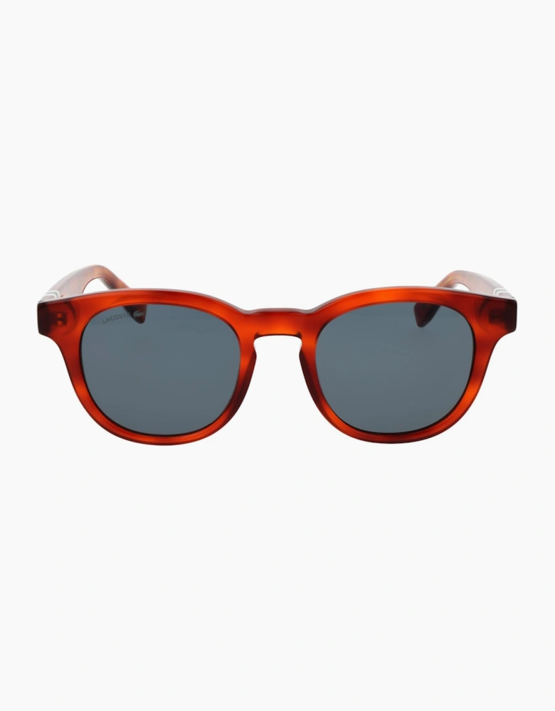 Lacoste Sunglasses L6006S 218 49
