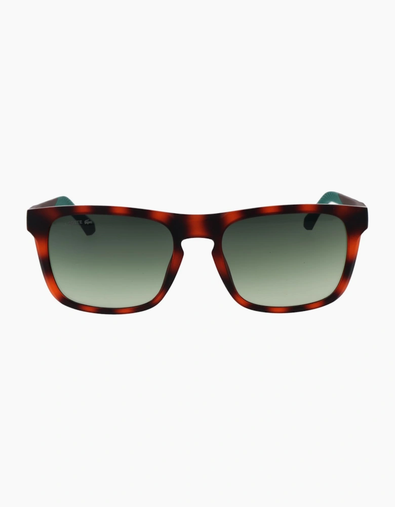 Lacoste Sunglasses L956S 230 55