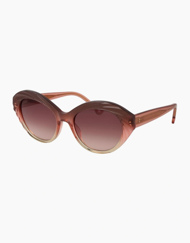 Hally & Son Sunglasses HS933S01 01 53