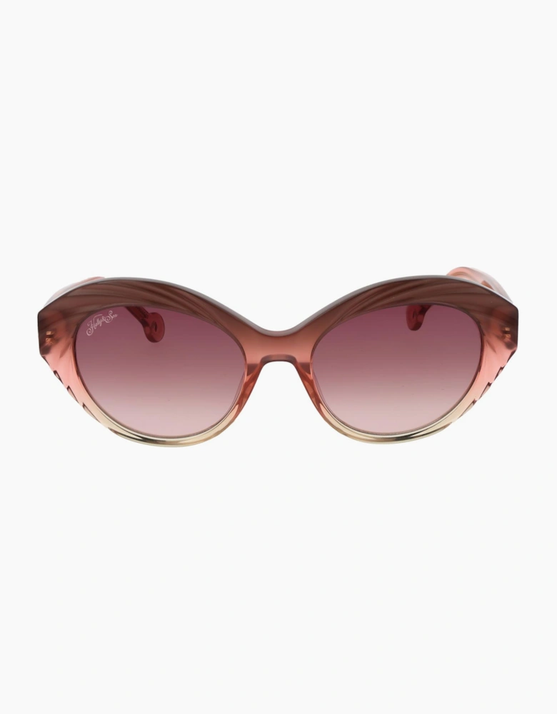 Hally & Son Sunglasses HS933S01 01 53