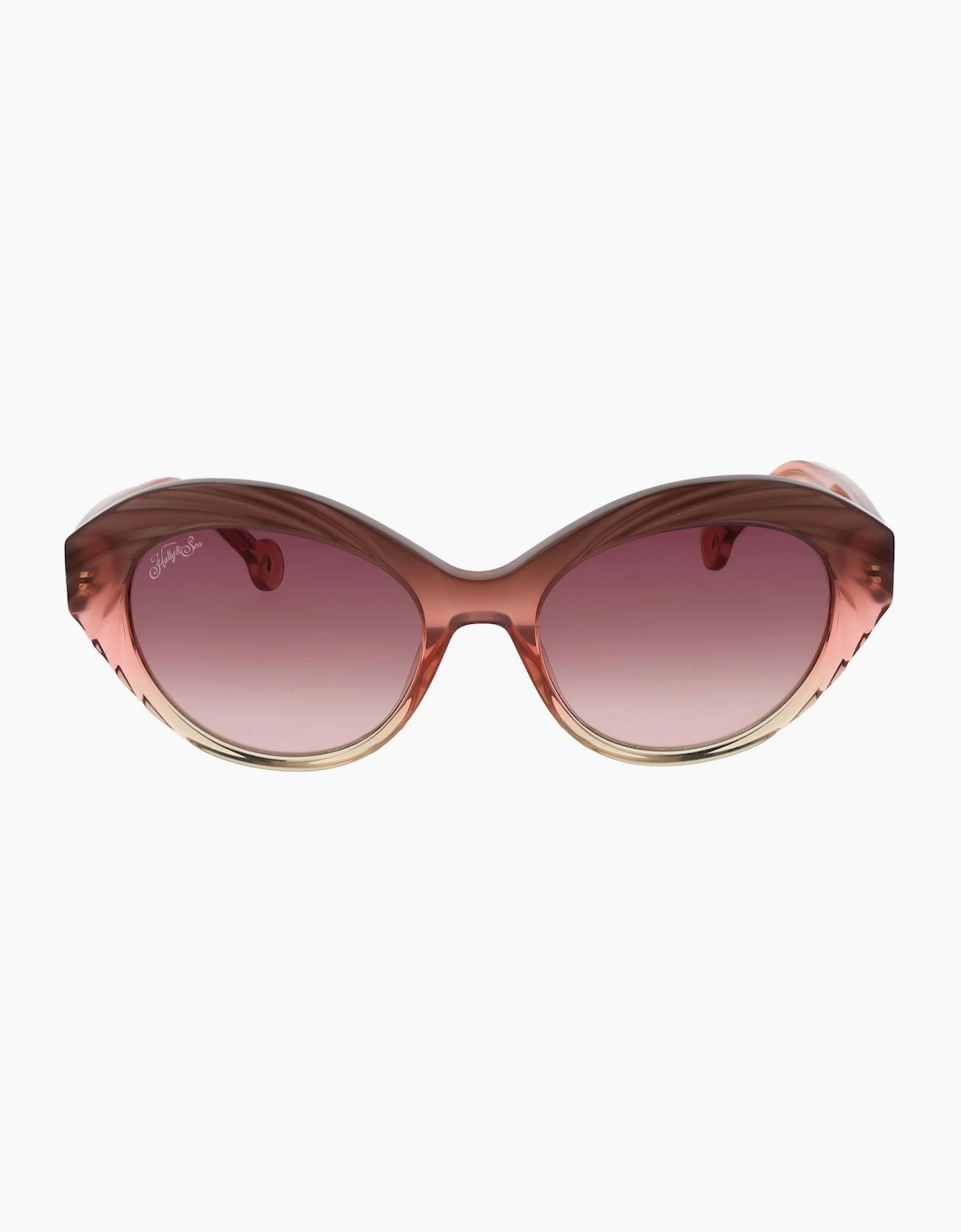 Hally & Son Sunglasses HS933S01 01 53