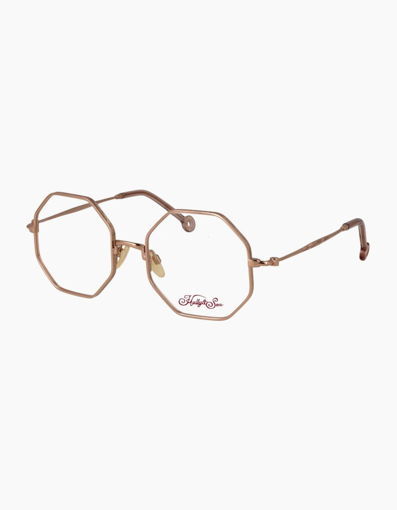 Hally & Son Frames with Sunglasses-Clips HS904C02 02 52